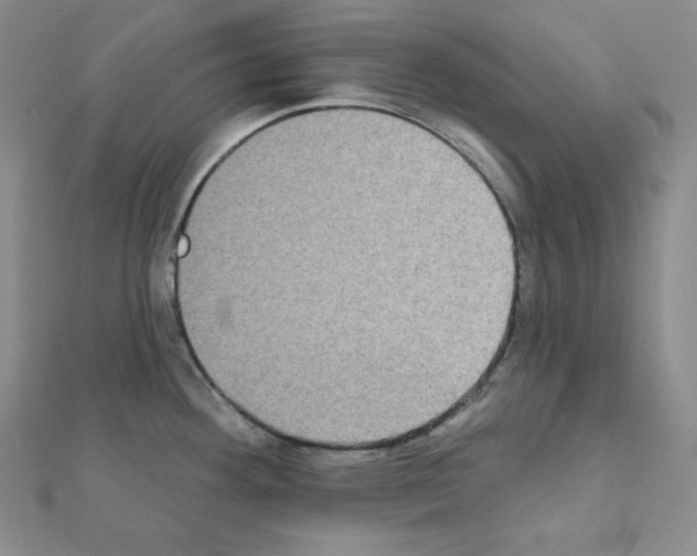 X0000111221292200908131053