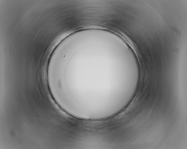 X0000111221293200908131053