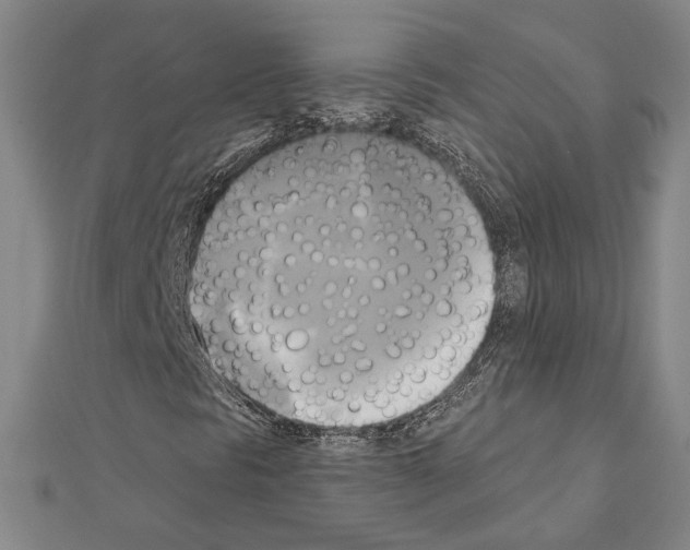 X0000111221297200908131052