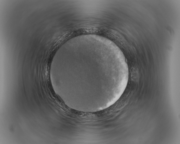 X0000111221298200908131052