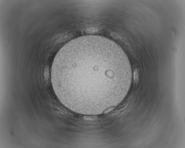 X0000111221299200908131052