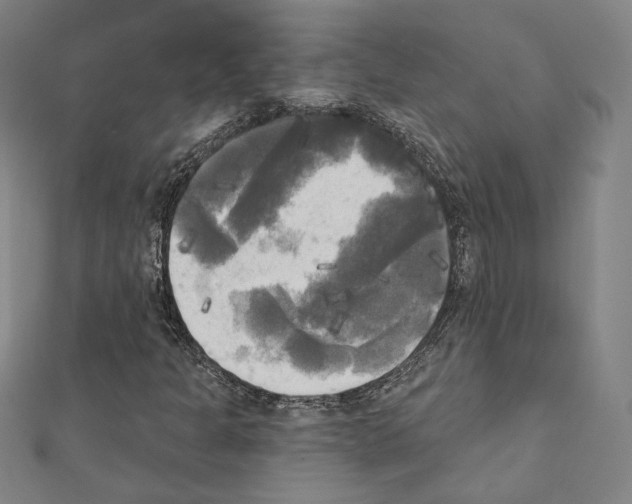 X0000111221301200908131052