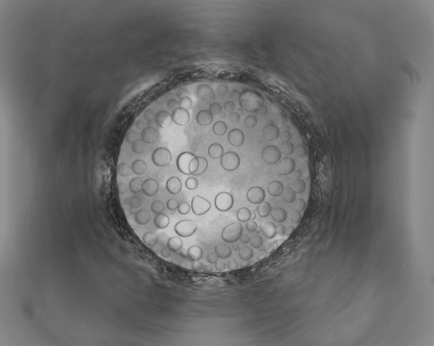 X0000111221302200908131052
