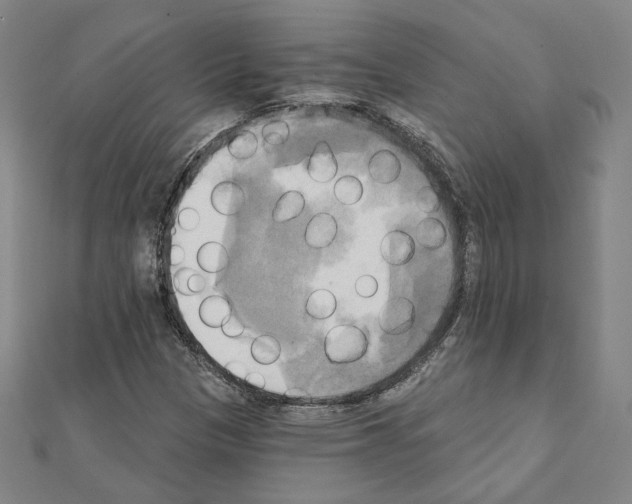X0000111221305200908131052