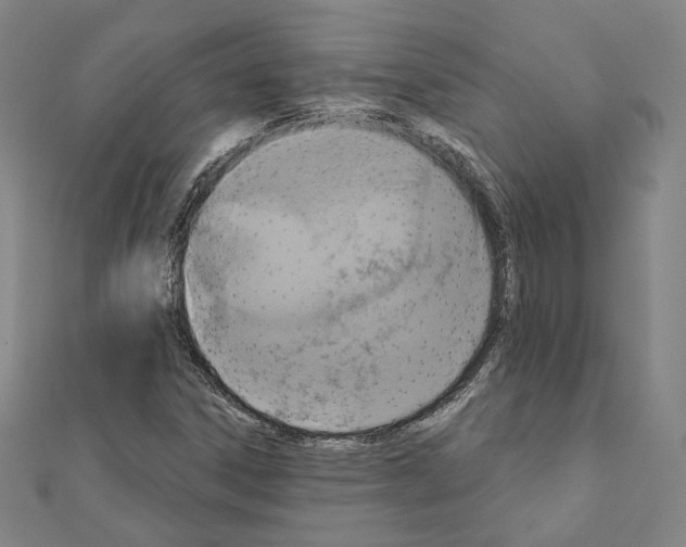 X0000111221306200908131052