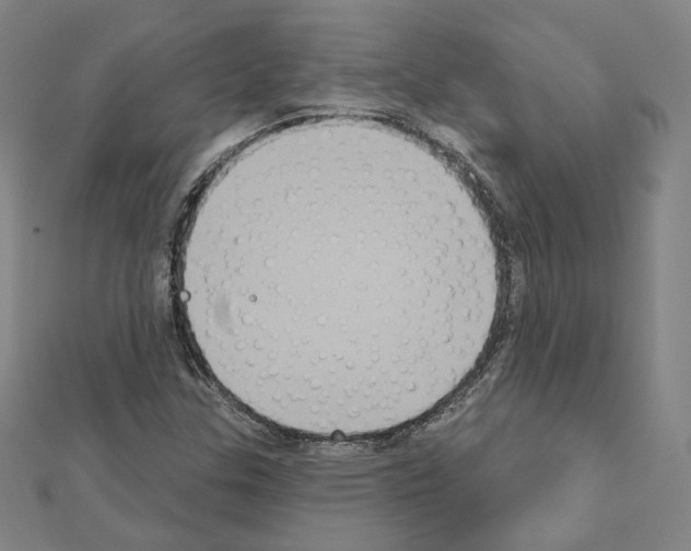 X0000111221307200908131052