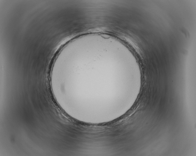 X0000111221308200908131052