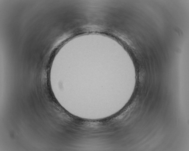 X0000111221309200908131052