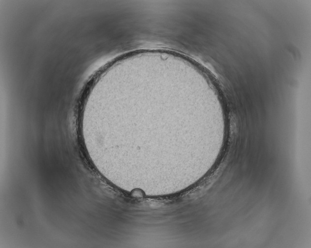 X0000111221311200908131052