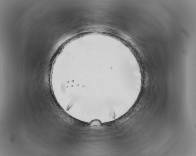 X0000111221312200908131052