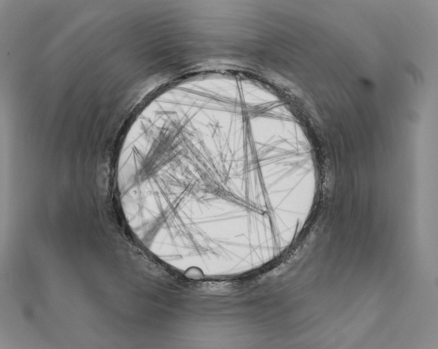 X0000111221313200908131052