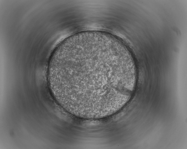 X0000111221314200908131052