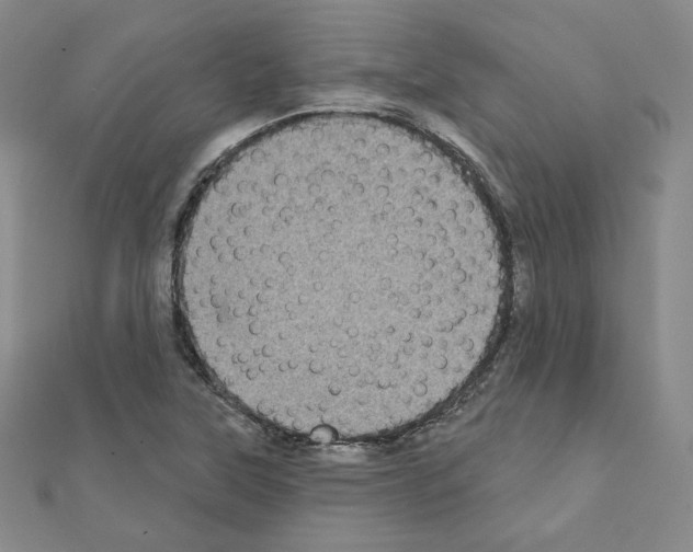 X0000111221315200908131052