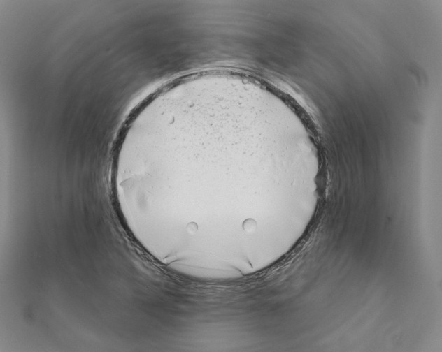 X0000111221316200908131052
