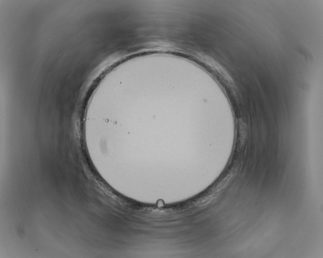 X0000111221318200908131052