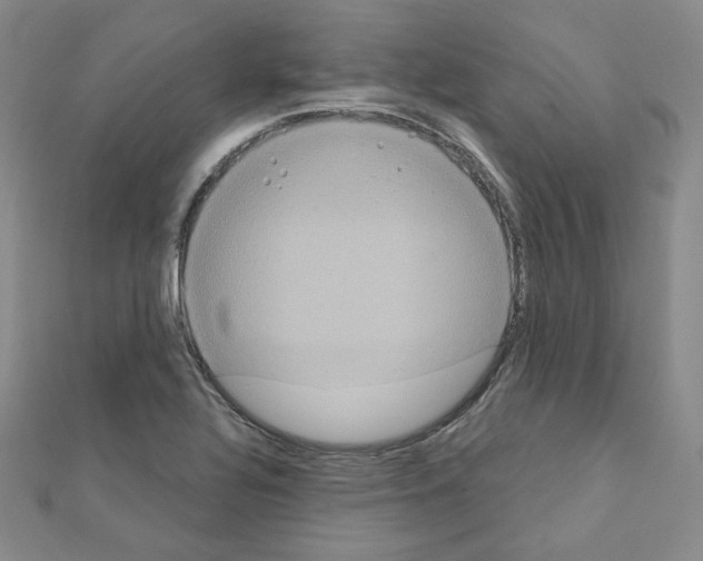 X0000111221320200908131052