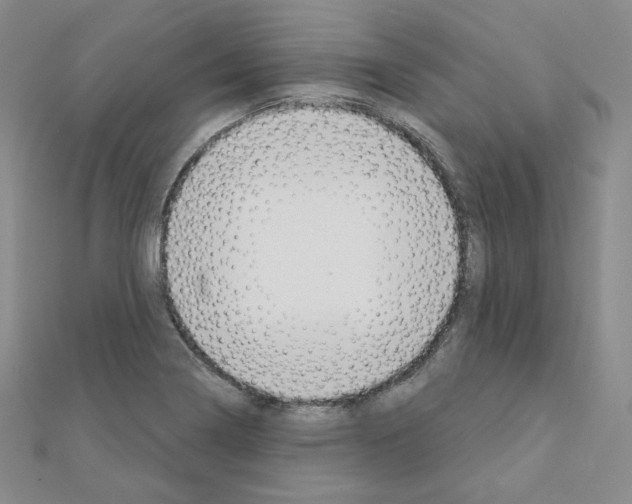 X0000111221322200908131052