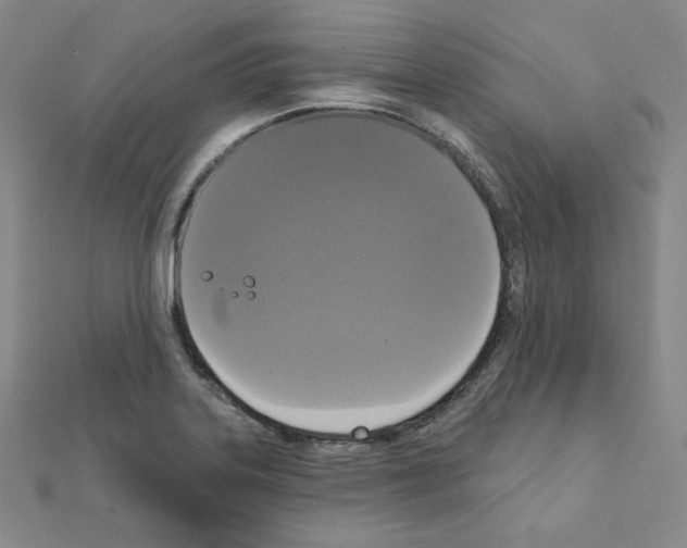 X0000111221323200908131052