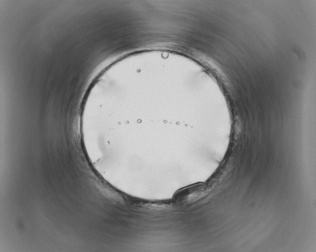 X0000111221324200908131052