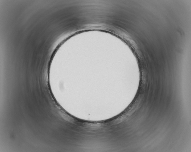 X0000111221328200908131052