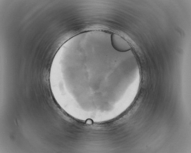 X0000111221329200908131052