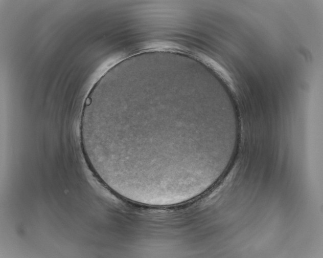 X0000111221330200908131052
