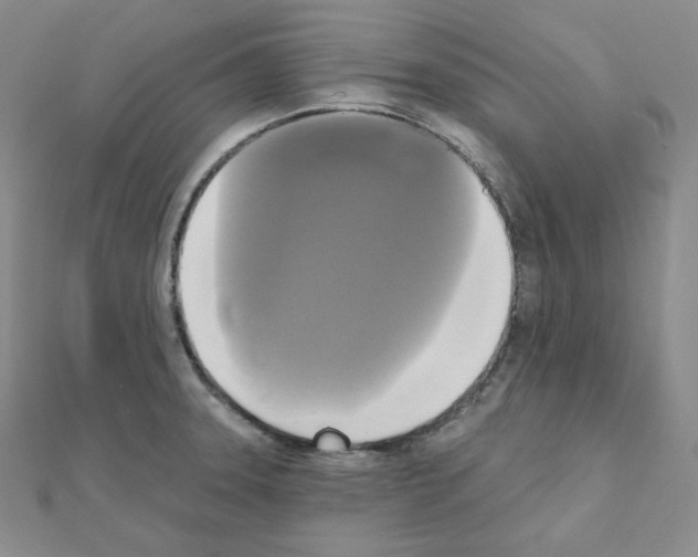 X0000111221331200908131052