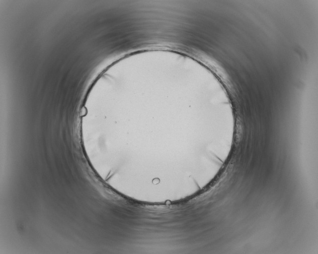 X0000111221332200908131052