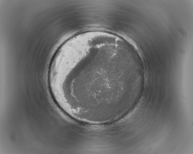 X0000111221333200908131052