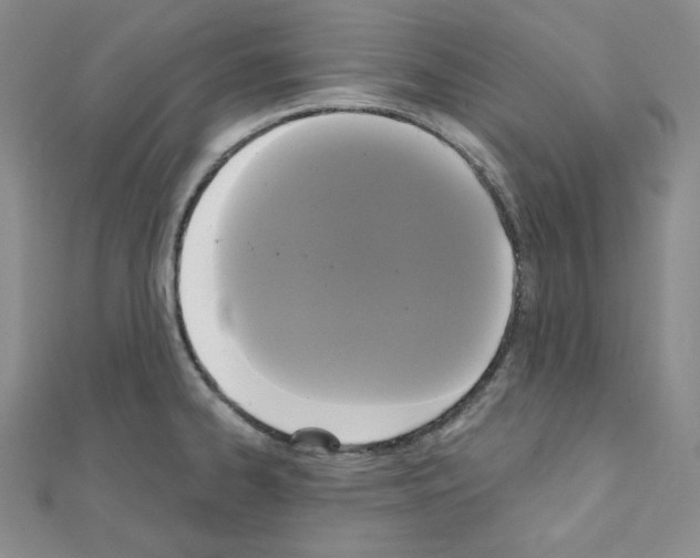X0000111221334200908131052