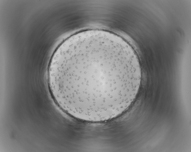 X0000111221335200908131052