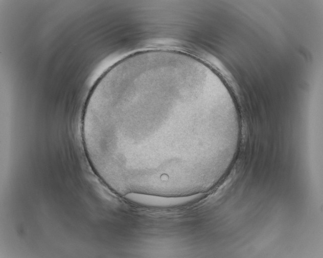 X0000111221336200908131052