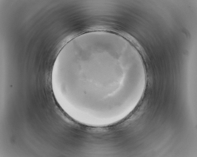 X0000111221337200908131052