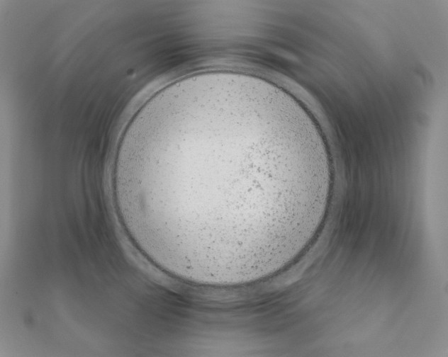 X0000111221338200908131052