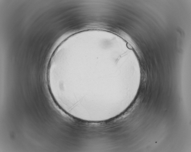 X0000111221339200908131053