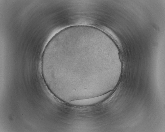 X0000111221340200908131053