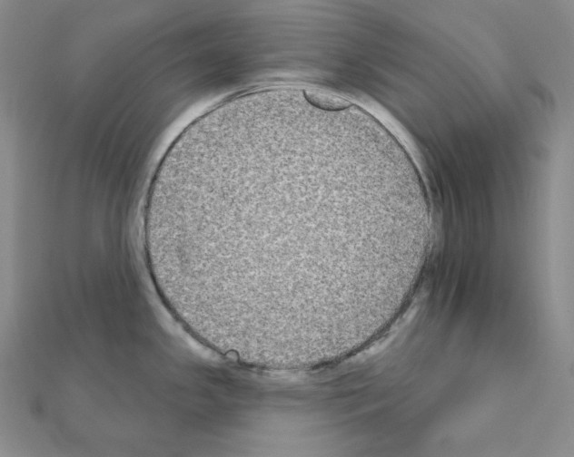 X0000111221341200908131053