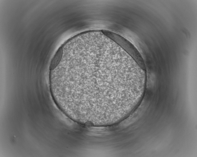 X0000111221342200908131053