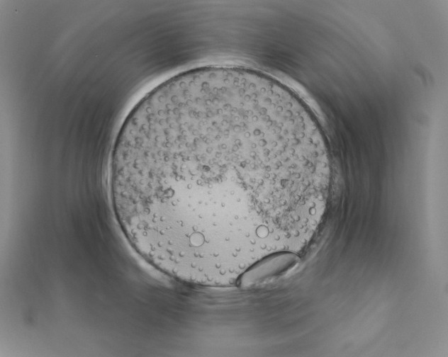 X0000111221343200908131053