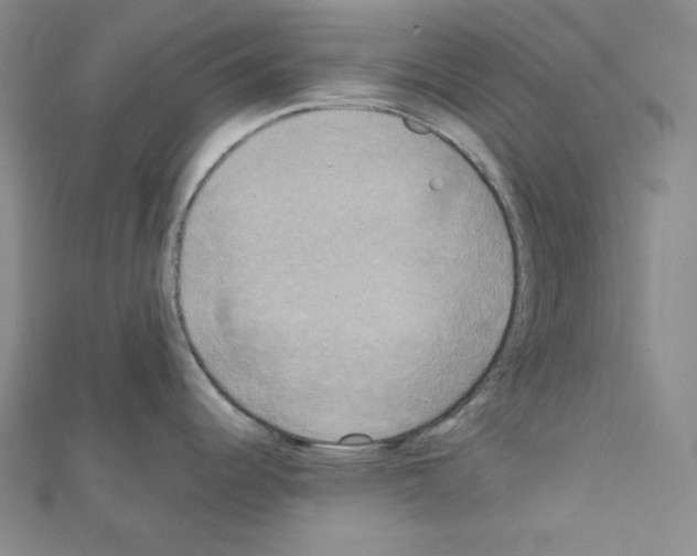 X0000111221344200908131053
