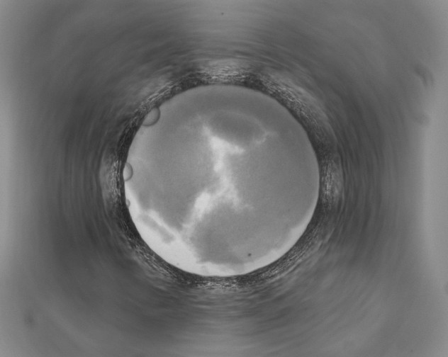 X0000111221346200908131052