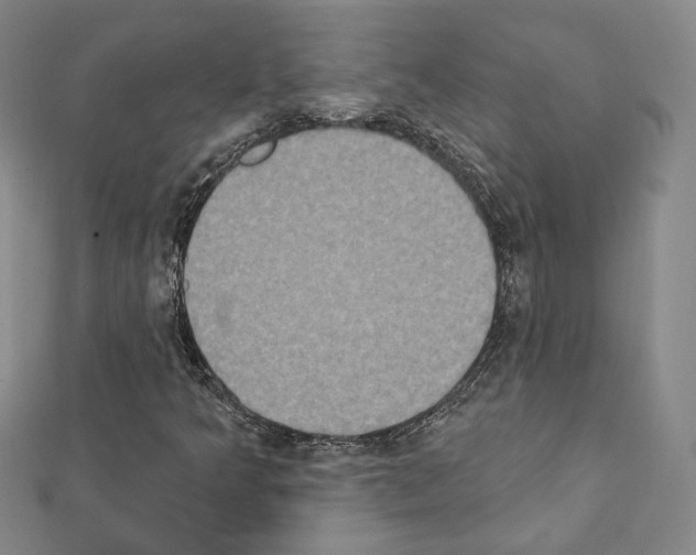 X0000111221349200908131052