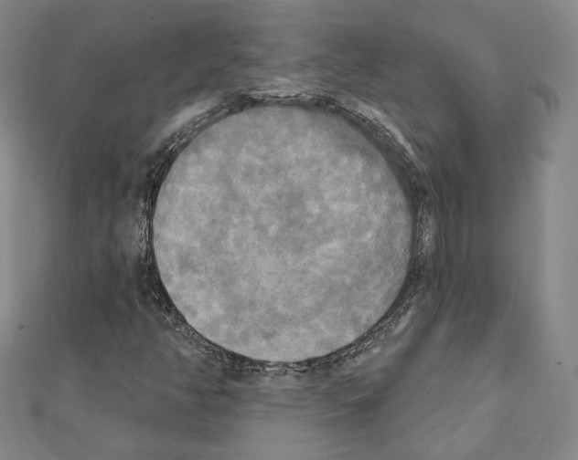 X0000111221350200908131052