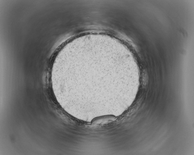 X0000111221352200908131052