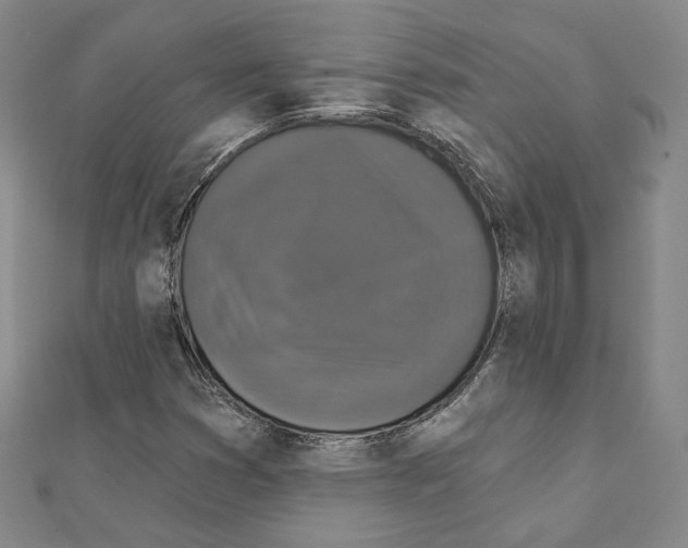 X0000111221353200908131052