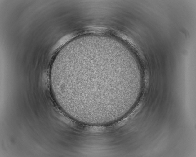 X0000111221354200908131052
