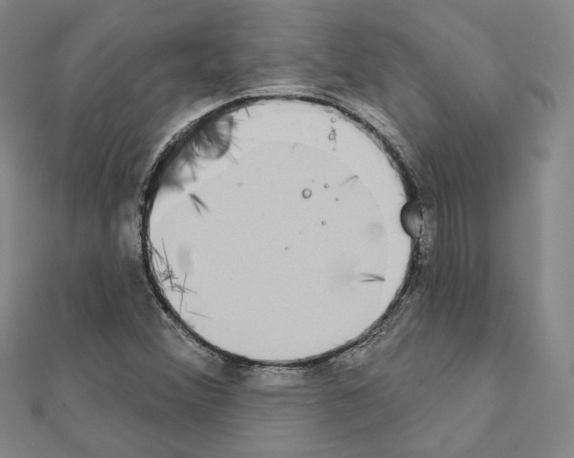 X0000111221356200908131052