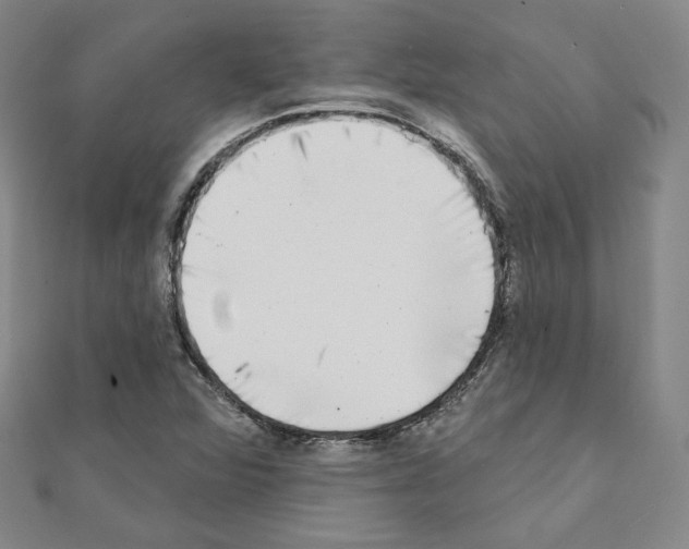 X0000111221360200908131052