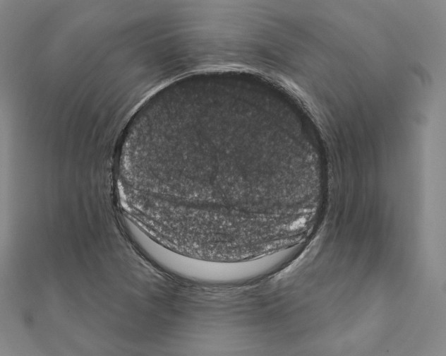 X0000111221361200908131052