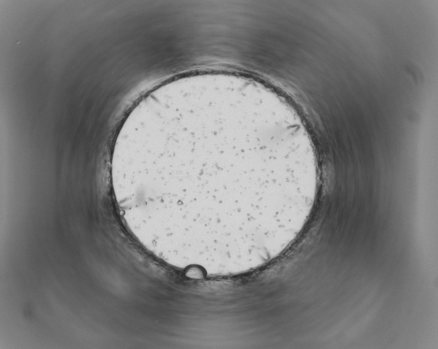 X0000111221363200908131052